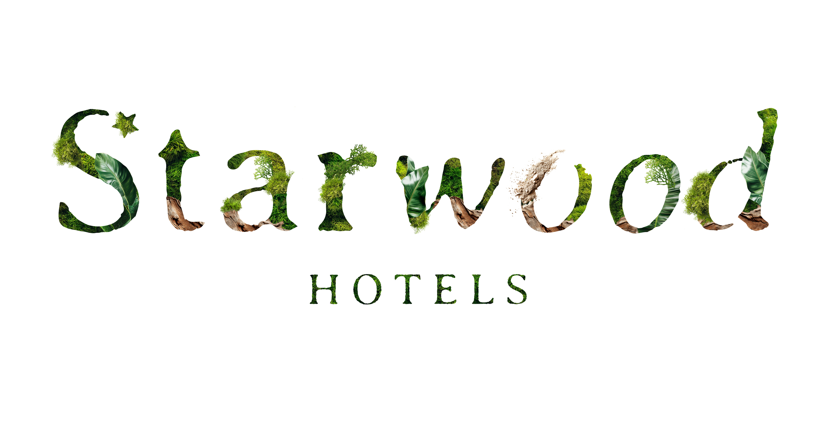 We Bring Beauty to WordPress - Qode Interactive