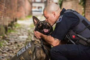 Vested Interest in K9s Partners with Groupon in Nationwide Campaign to Protect Police Dogs