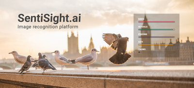 The SentiSight.ai web platform for AI-based image recognition applications lets users develop their own customized, deep learning models for image classification without having to write any code.