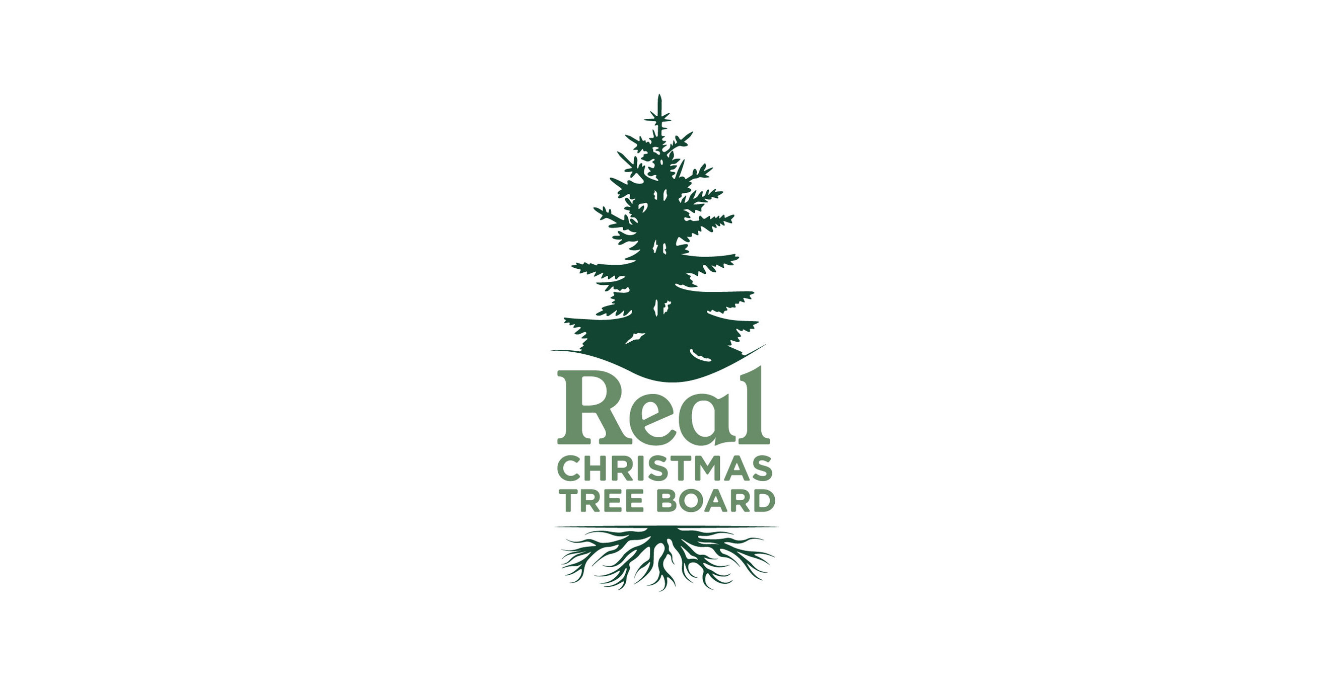 Poll Of Percent Of People Who Prefer Real Christmas Trees 2022 Real Christmas Trees Can Help End A Difficult Year With Good Memories