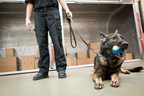 MSA Security® Passes Testing for TSA Third-Party Canine Program