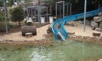 Otters Earn Their Turn On Polin Waterslide