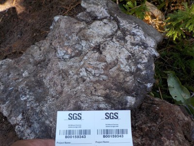 Figure 1 Sample 159343 with coarse-grained white petalite, 2.76 %Li2O, Jesse’s Pegmatite, Paterson Lake. (CNW Group/POWER METALS CORP)