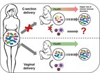 L'accouchement par césarienne perturbe la transmission de bactéries importantes pour la stimulation du système immunitaire de l'enfant, selon une étude coordonnée par le Luxembourg Centre for Systems Biomedicine (LCSB)