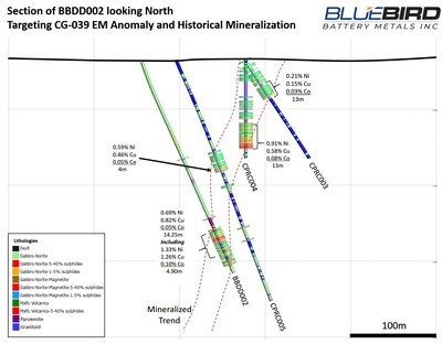 Figure 2: Canegrass Property – CG039 Target Drill Section looking North (CNW Group/Bluebird Battery Metals)