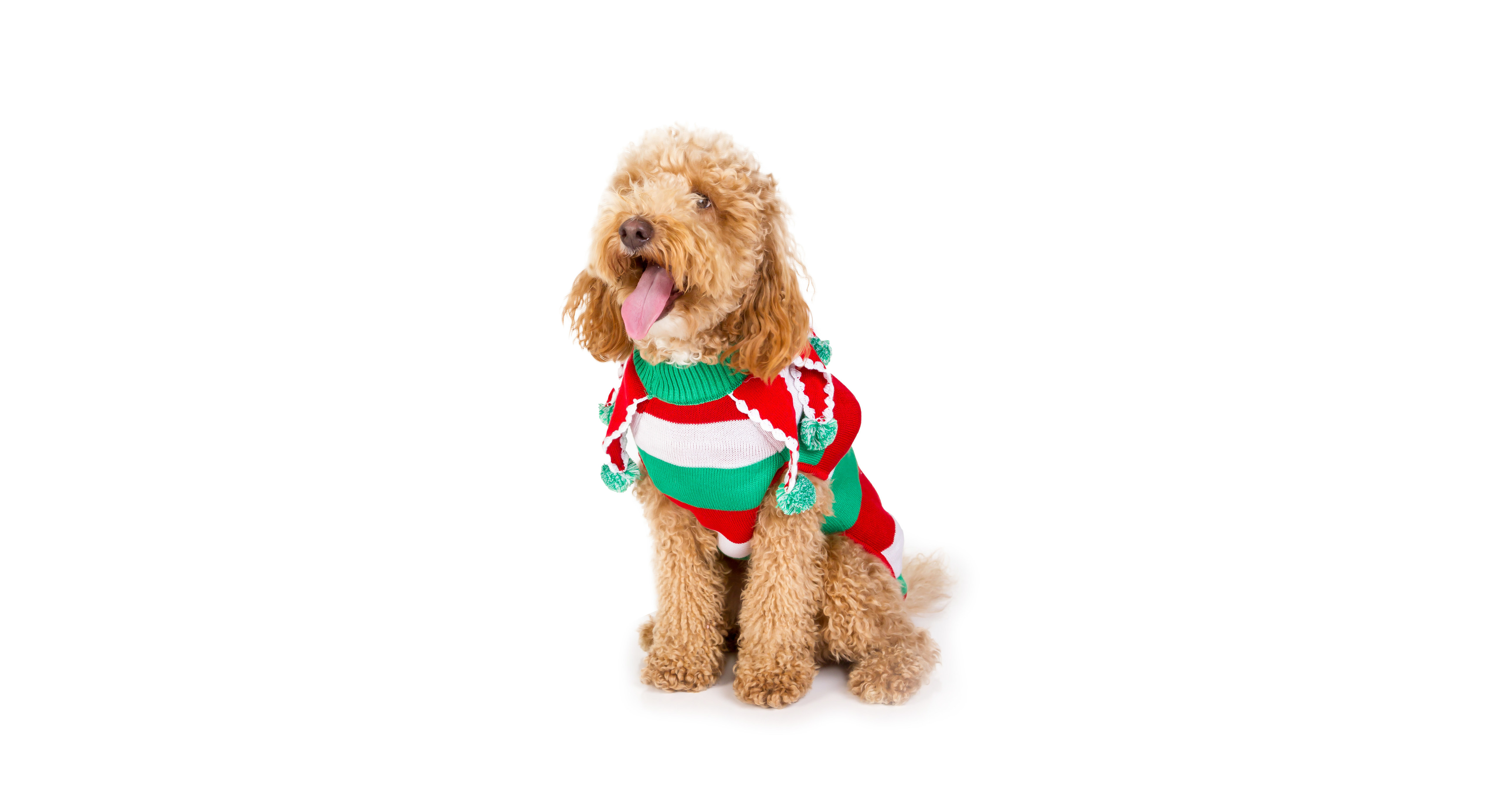 Christmas Present Dog Sweater - Fun Christmas Themed Dog Sweater by Tipsy Elves
