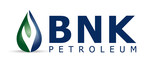 BNK Petroleum Inc. Provides Completions Update