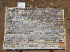 Power Metals to Commence Maiden Resource Estimate and Provides Summary of 2018 Exploration Activities at Case Lake