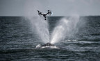 DroneBlocks and Ocean Alliance partner to improve the SnotBot project for Whale conservation