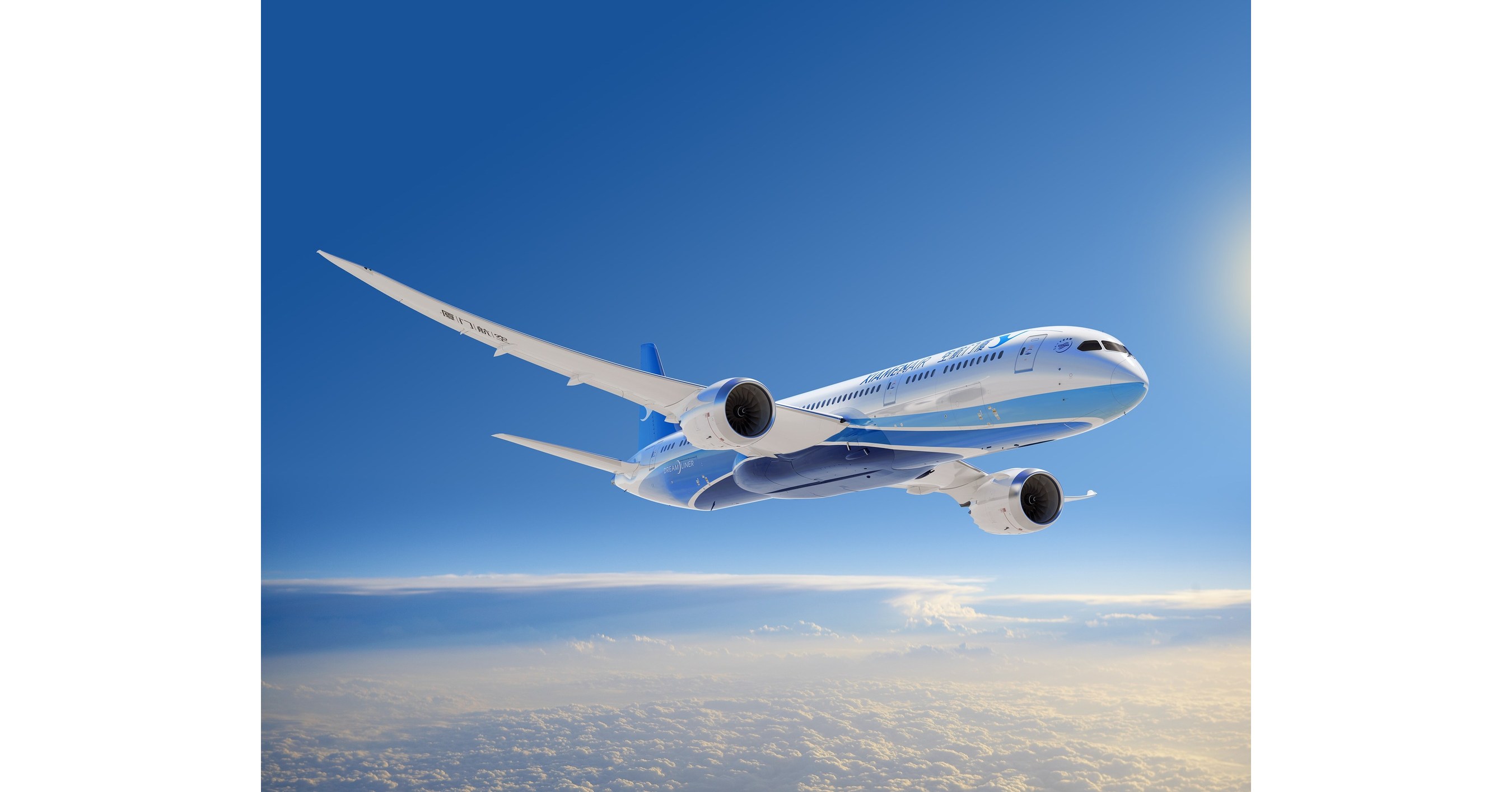 Boeing 787. Боинг 787. Боинг Дримлайнер. 787-10 Dreamliner. Дримлайнер 787.