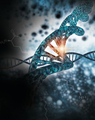 Both Merck and genOway have identified research fields where they can combine their respective technologies and expertise to develop and validate new CRISPR/Cas9-related products and solutions
