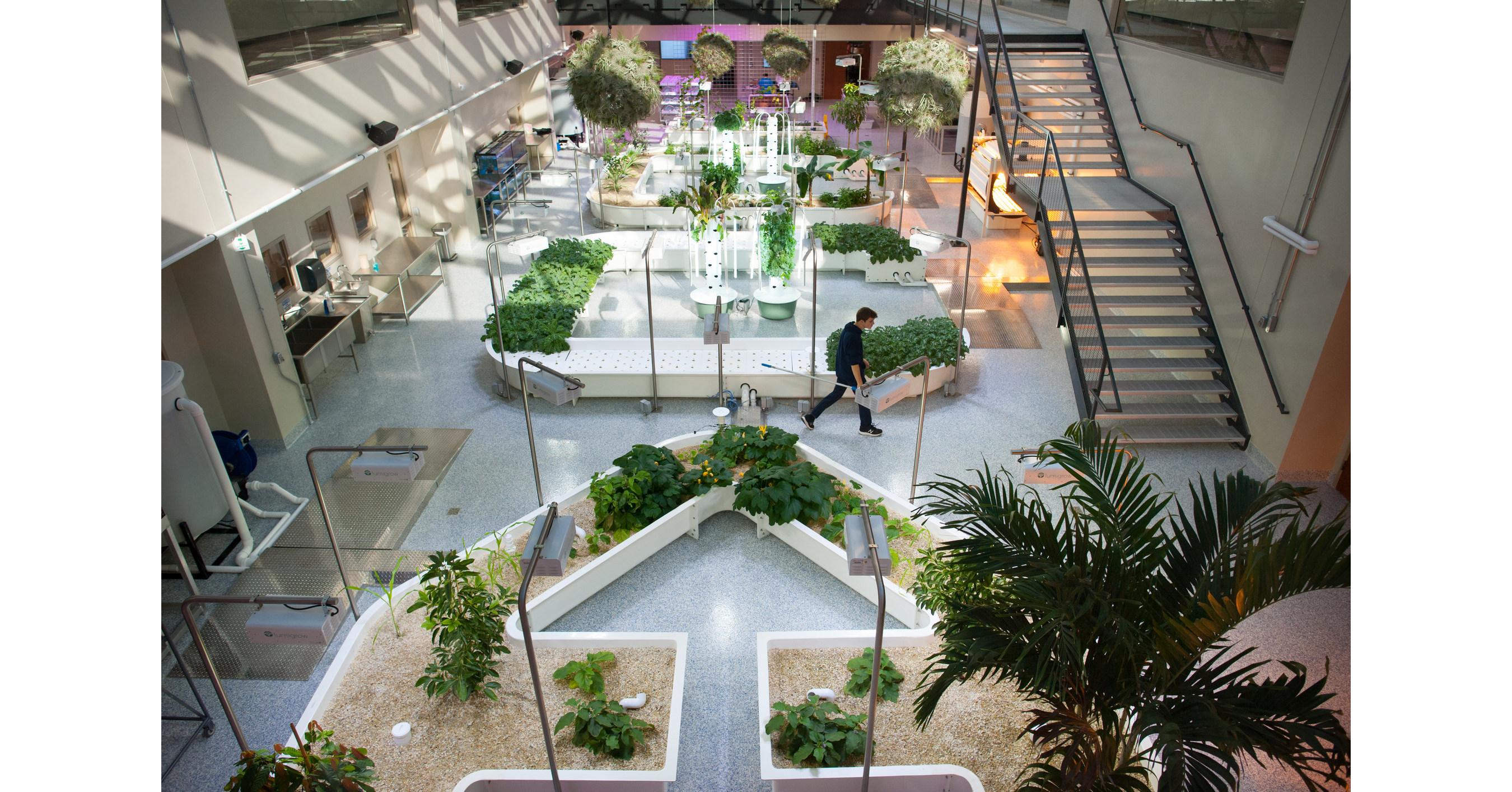 pa. school opens largest public educational aquaponics