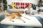 Airweave Announces New Global Canine Brand Ambassador, Masaru