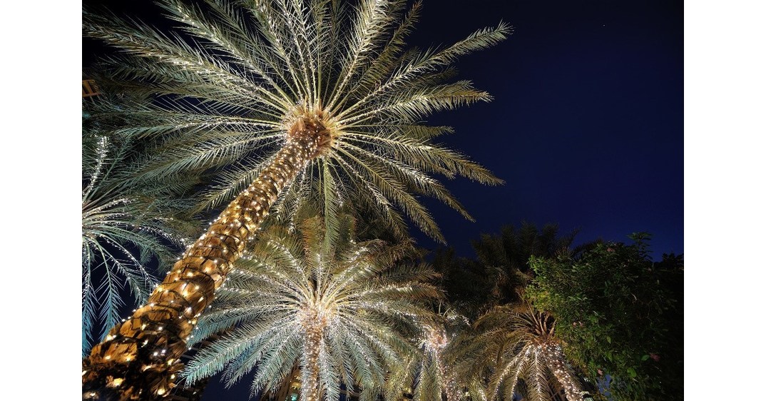 Holiday Happenings Illuminate The Palm Beaches
