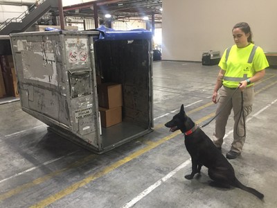 tsa k9