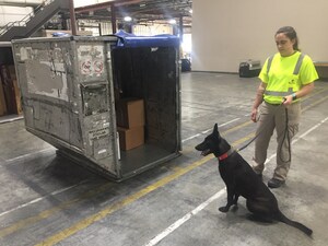 GK9PG is the First Company Certified by the TSA to Provide CCSF-K9 Services.