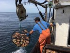 Morro Bay Crabbing Families Keep Dungeness on the Table and in the Market all Season Long