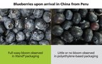 Xtend® Packaging Retains the Waxy Bloom of Blueberries
