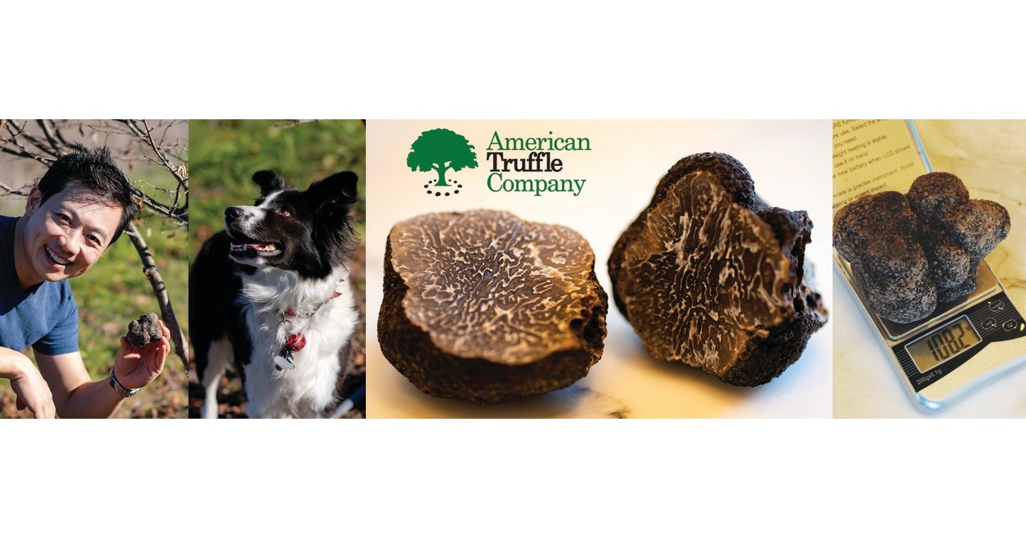 Eureka! First Scientifically Cultivated Truffle Harvest in America