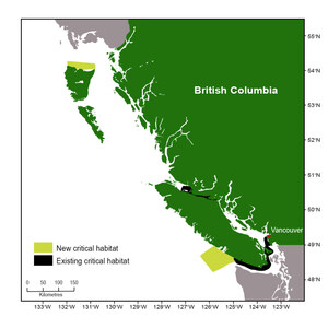 Government of Canada protects two new areas off British Columbia's coast for Resident Killer Whales
