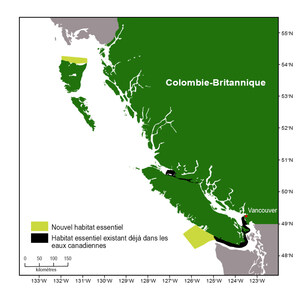 Le gouvernement du Canada protège deux nouvelles zones au large des côtes de la Colombie-Britannique pour les épaulards résidents