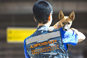 Aeroflot Registers Own Breed of Sniffer Dogs
