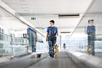 Aeroflot registers own breed of sniffer dogs (PRNewsfoto/Aeroflot)