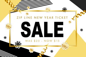 Z!P NYE 2019 - Allegan