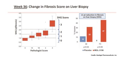 Week 36: Change in Fibrosis Score on Liver Biopsy. From: \"In a Placebo Controlled 36 Week Phase 2 Trial, Treatment with MGL-3196 Compared to Placebo Results in Significant Reductions in Hepatic Fat (MRI-PDFF), Liver Enzymes, Fibrosis Biomarkers, Atherogenic Lipids, and Improvement in NASH on Serial Liver Biopsy\". Image Credits: Madrigal Pharmaceuticals, Inc.