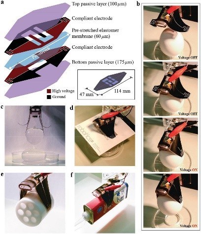 Structure of the electro-adhesion-enabled soft gripper, and demonstration of gripping different objects