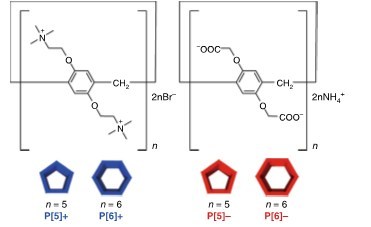 Structures of pillar[n]arenes, n = 5 and 6. Left, blue: cationic (positively charged) variants; right, red: anionic (negatively charged) variants (PRNewsfoto/Kanazawa University)
