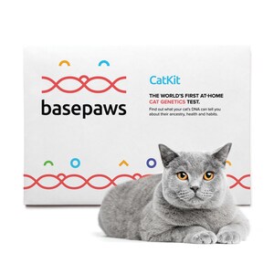 The World's First-Ever Cat DNA Test is Coming to CES 2019