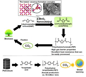 Green catalysts with Earth-abundant metals accelerate production of bio-based plastic