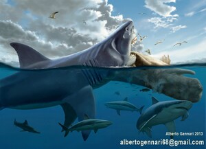 Was Megalodon The World's Largest Scavenger?