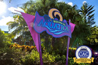 Aquatica® Orlando Becomes The First Water Park In The World To Be A Certified Autism Center