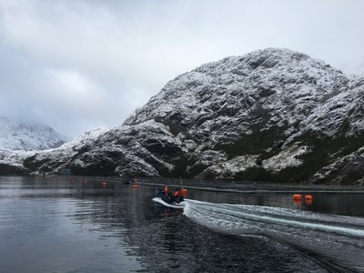 Sixty South in the pure Antarctic waters of Porvenir, Tierra del Fuego.