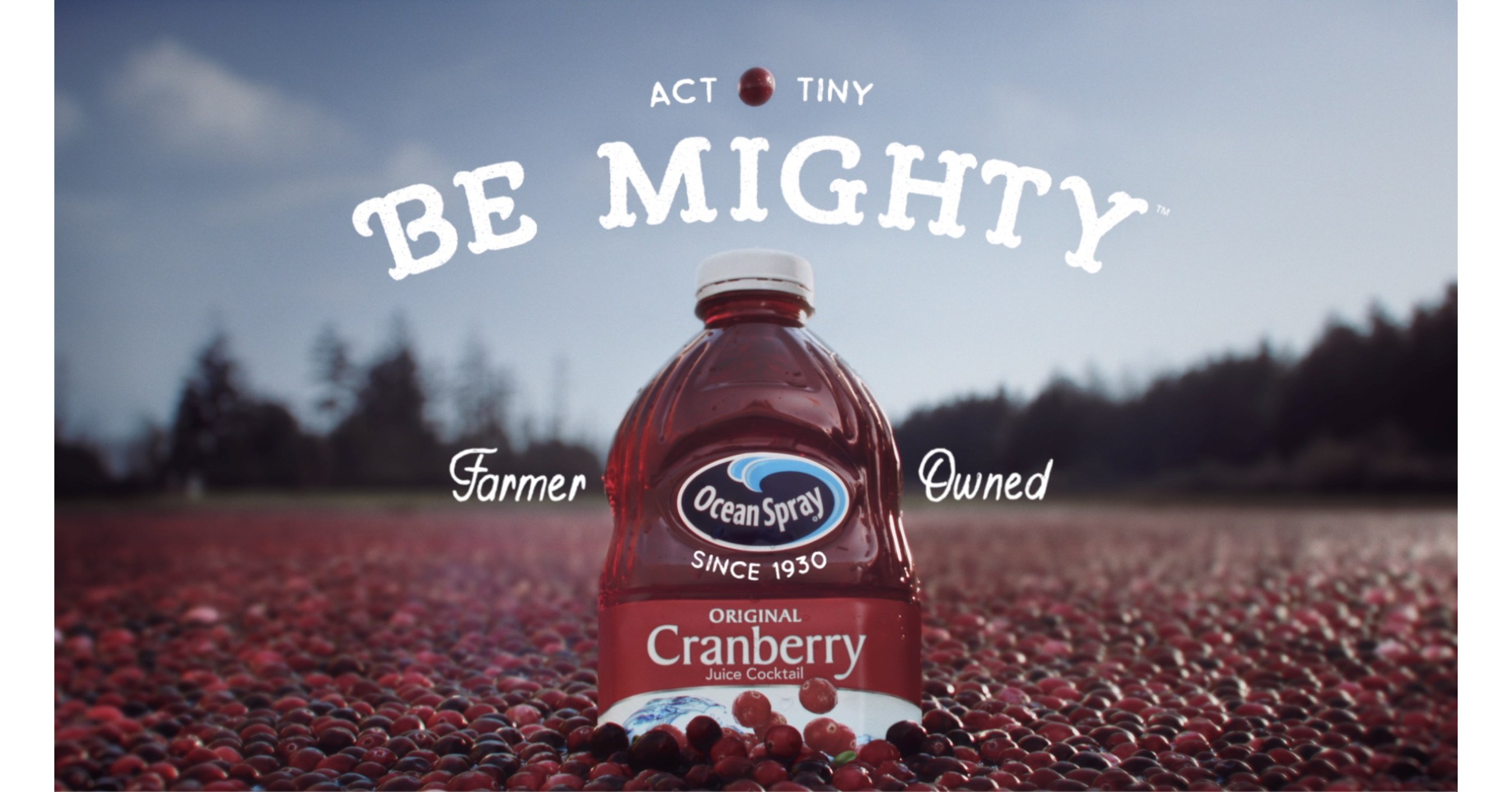Ocean Spray's new Act Tiny, Be Mighty™ Campaign Provides a Fresh Perspective on What it Means to