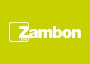 Logo: Zambon (CNW Group/Valeo Pharma inc.)