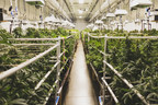 ProKure's Chief Science Officer Leads First Ever ASTM International Standards for Cleaning &amp; Disinfecting Cannabis Cultivation Facilities