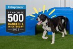 Camp Bow Wow Ranks #1 in the Pet Services Category in Entrepreneur's Highly Competitive 40th Annual Franchise 500