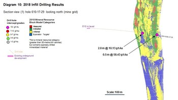 Diagram 10 : 2018 Infill Drilling Results (CNW Group/Rubicon Minerals Corporation)