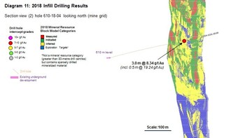 Diagram 11 : 2018 Infill Drilling Results (CNW Group/Rubicon Minerals Corporation)