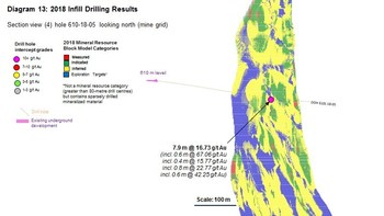 Diagram 13 : 2018 Infill Drilling Results (CNW Group/Rubicon Minerals Corporation)