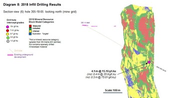 Diagram 8 : 2018 Infill Drilling Results (CNW Group/Rubicon Minerals Corporation)