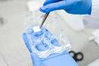 Scientists Develop Self-Dissolvable Antibacterial Bandages