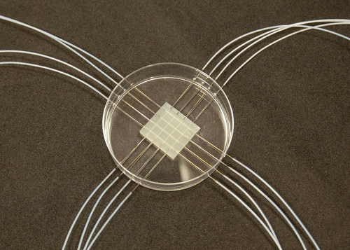 Hydrogel microfluidic chips (PRNewsfoto/HKBU)