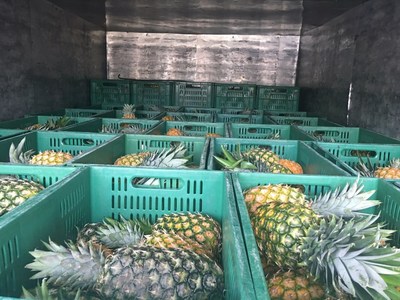 With support from GFN and PepsiCo, Asociación de Bancos de Alimentos de Colombia was able to purchase new trucks to move fresh produce – like these crates of pineapples – from rural areas to food banks across Colombia.