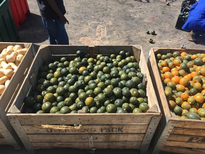 Crates of squash are recovered by FoodForward South Africa in the Western Cape. Thanks to a grant funded by GFN from PepsiCo’s investment, the organization was able to purchase a refrigerated vehicle that it can use to pick up food donations from farms.