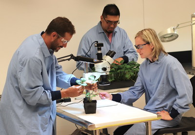 Crop Enhancement's scientists are developing sustainable crop protection technologies that enable growers to reduce costs and increase crop yields.
