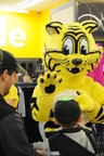 Tigre Géant rugit pour vous à Montréal-Nord, au Québec!